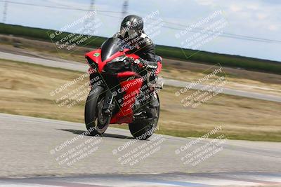 media/Apr-26-2024-TrackDaz (Fri) [[c4b677d280]]/C Group/140pm (Wheelie Bump)/